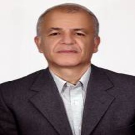 محمد مهدی برادرانی