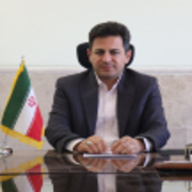 رامین رزمی